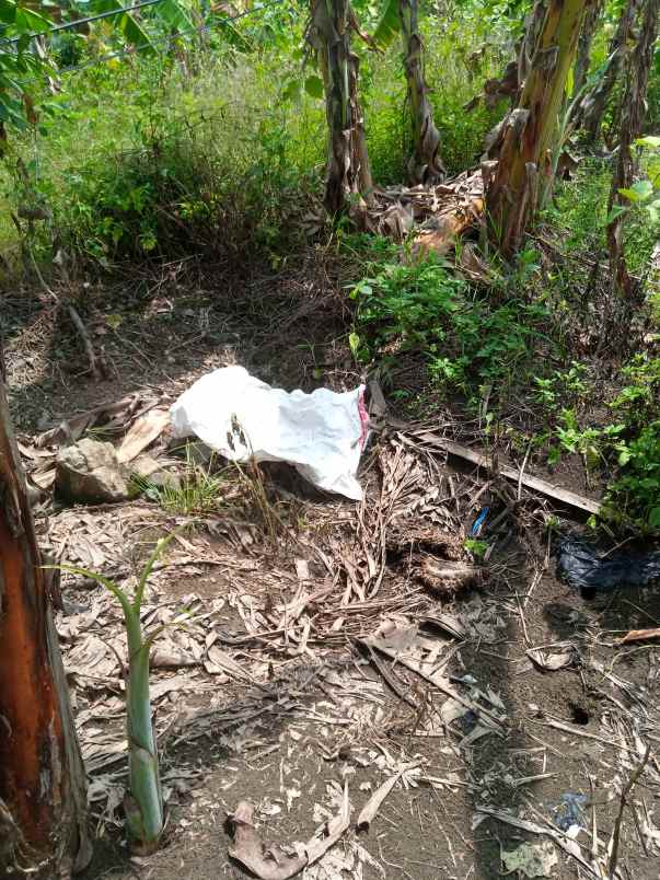 kavling dijual shm rowosari tembalang