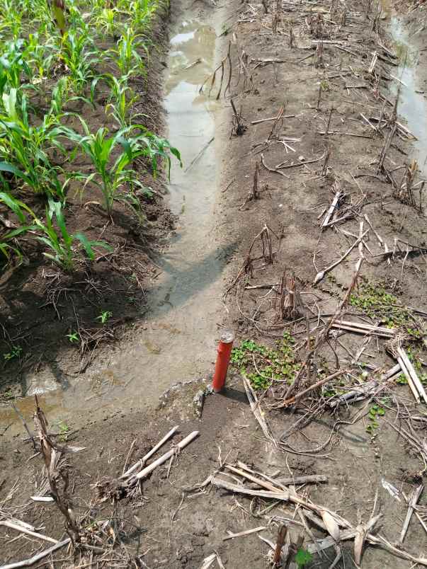 kavling dijual shm rowosari tembalang