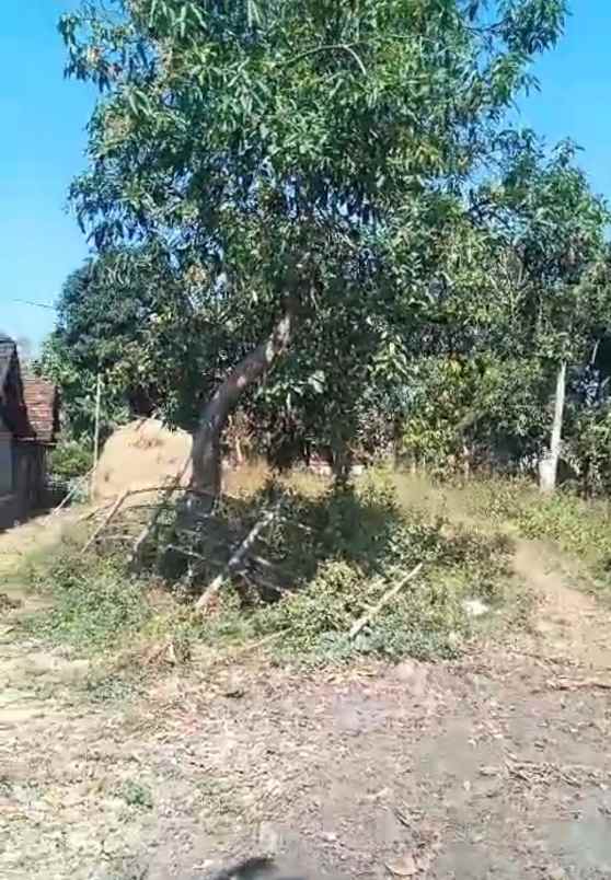 lahan pekarangan murah siap bangun