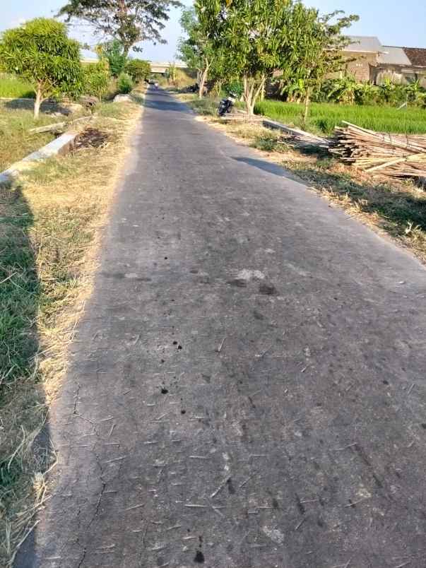 lahan perumahan 1 1ha lokasi klaten strategis 550rb m2