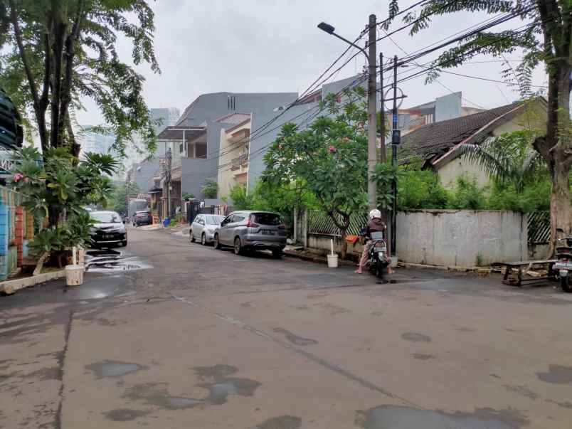 rumah kelapa nias kelapa gading