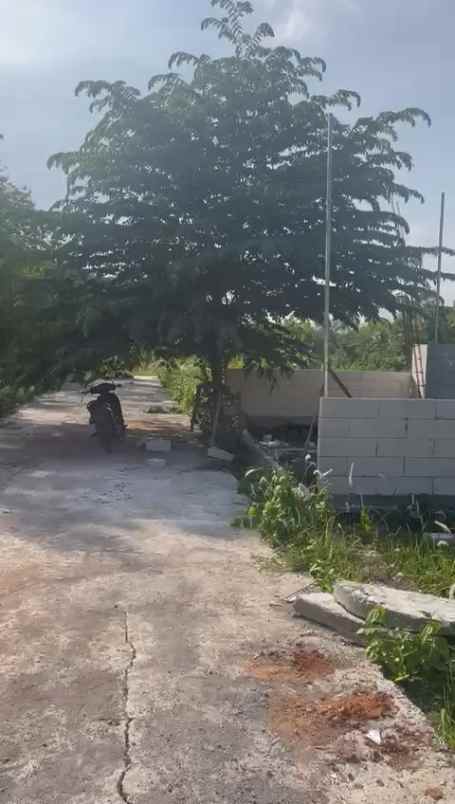 rumah murah dp 0 di jalan wates shm