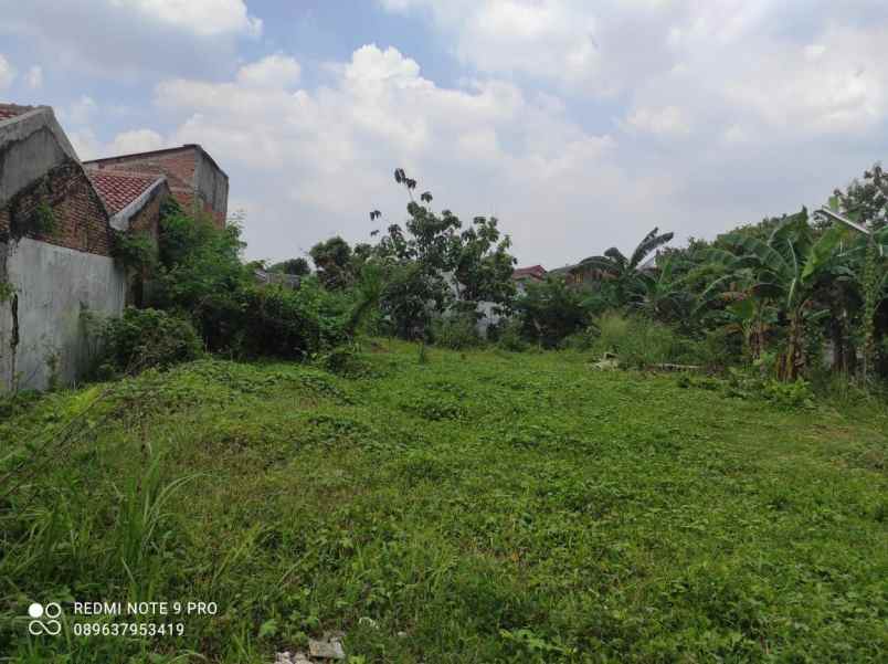 rumah pengasinan sawangan depok