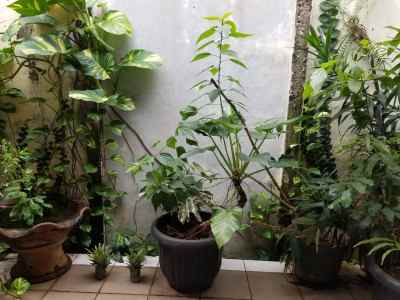 rumah sukabumi selatan