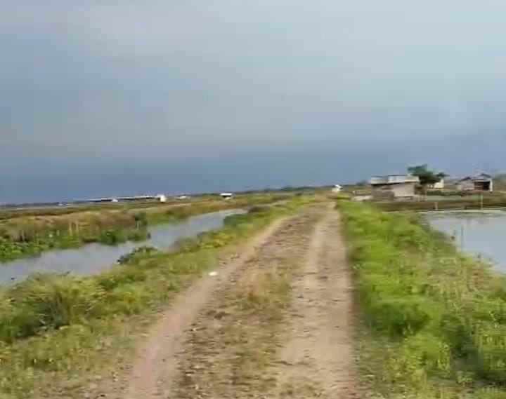 tambak strategis dekat jalan pantura kiajaran kulon