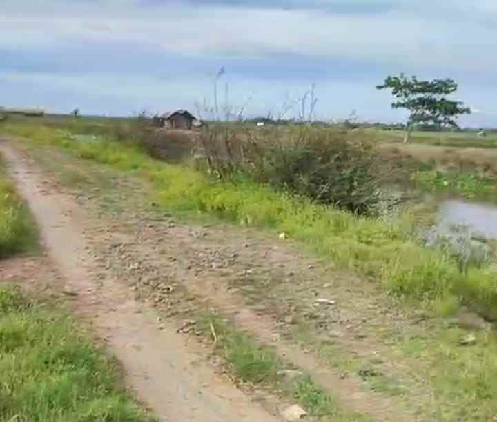 tambak strategis dekat jalan pantura kiajaran kulon