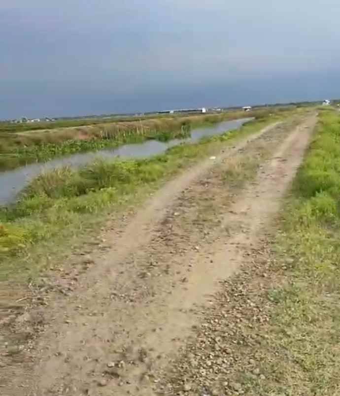 tambak strategis dekat jalan pantura kiajaran kulon