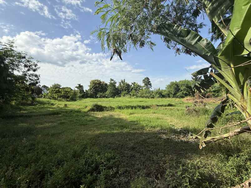 tanah 2 444 m strategis dekat kost ayura lubuk pakam