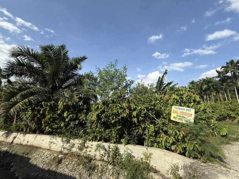 tanah 2 444 m strategis dekat kost ayura lubuk pakam