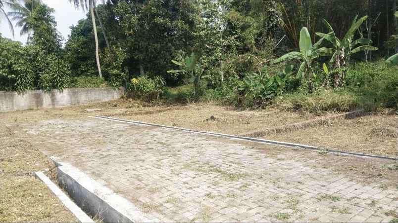 tanah ciapus bogor murah shm siap bangun