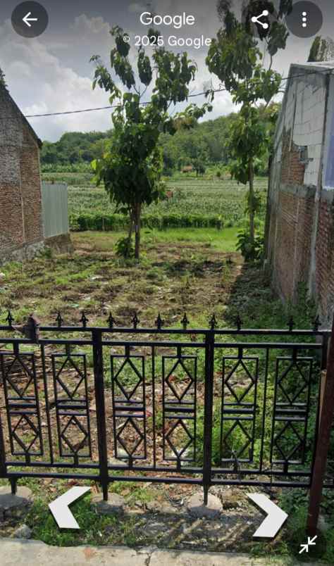 tanah cocok untuk investasi gondoriyo ngaliyan