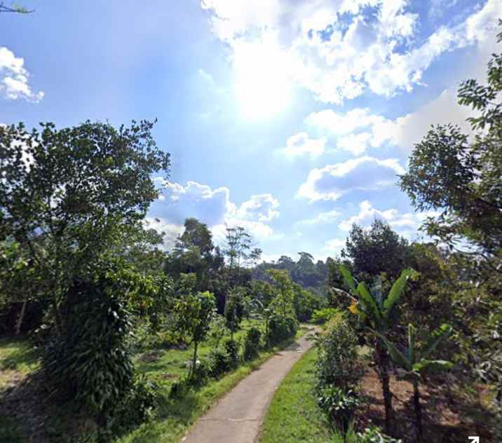 tanah daerah cicadas sagalaherang subang barat
