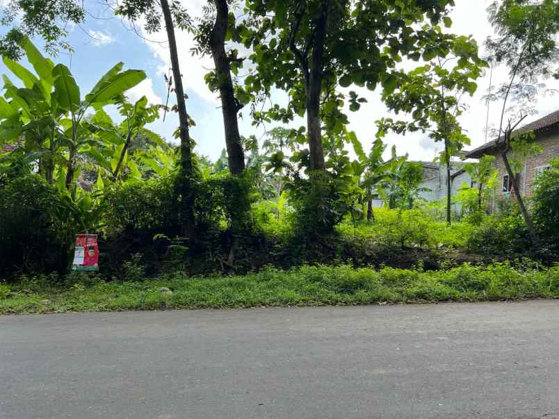 tanah datar tepi jl raya kerjo sambirejo