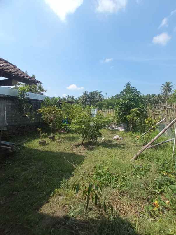 tanah di jalan magelang km 14 belakang rsud sleman