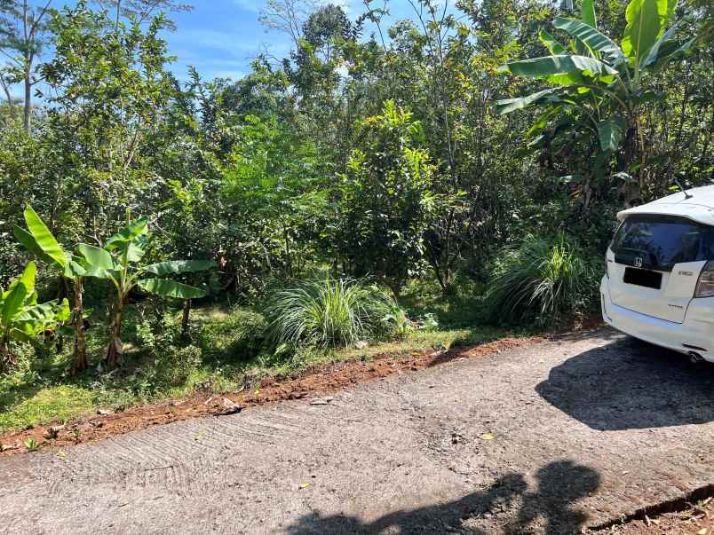 tanah di kota wisata ngargoyoso 1000m2 hanya 200 juta