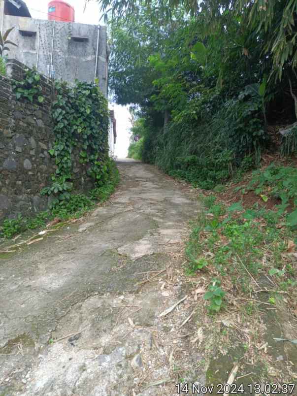 tanah dijual dibawah pasaran