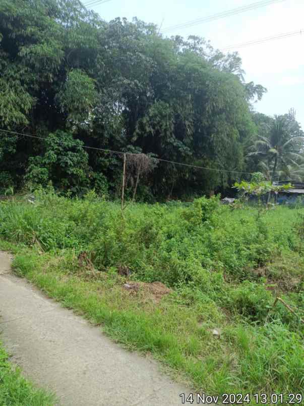 tanah dijual dibawah pasaran