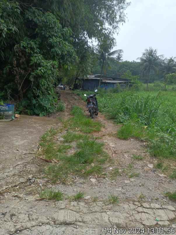 tanah dijual dibawah pasaran