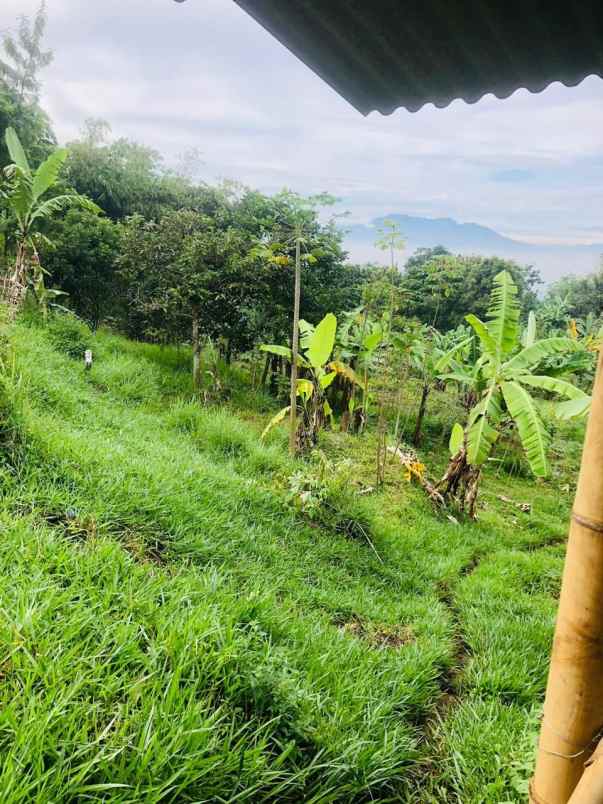 tanah jl sindanglaya desa