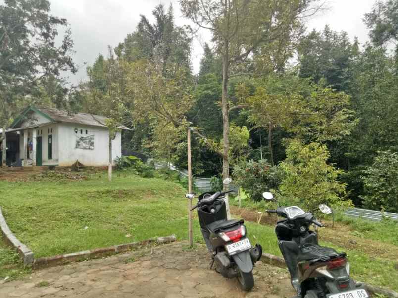 tanah kebun duren dan ternak domba di waringinkurung