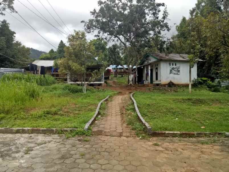 tanah kebun duren dan ternak domba di waringinkurung