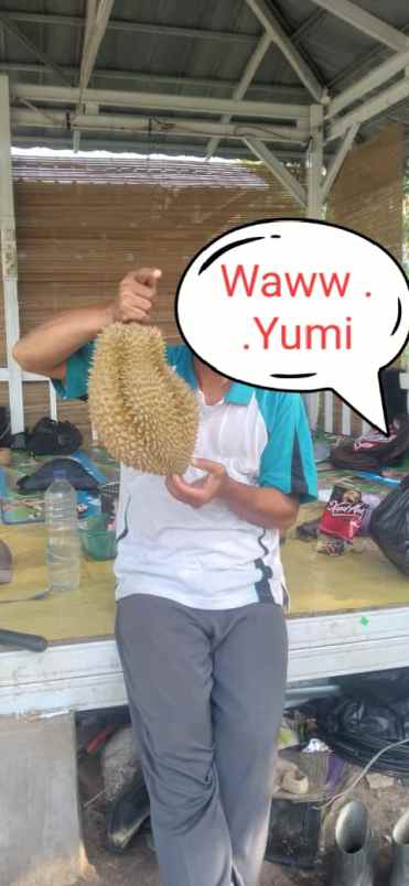 tanah kebun duren dan ternak domba di waringinkurung