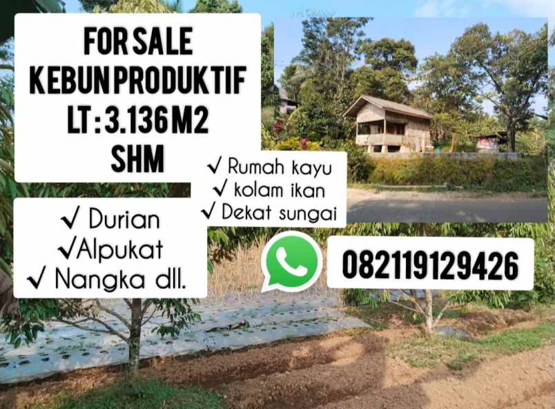 tanah kebun produktif dekat sungai sagalaherang subang
