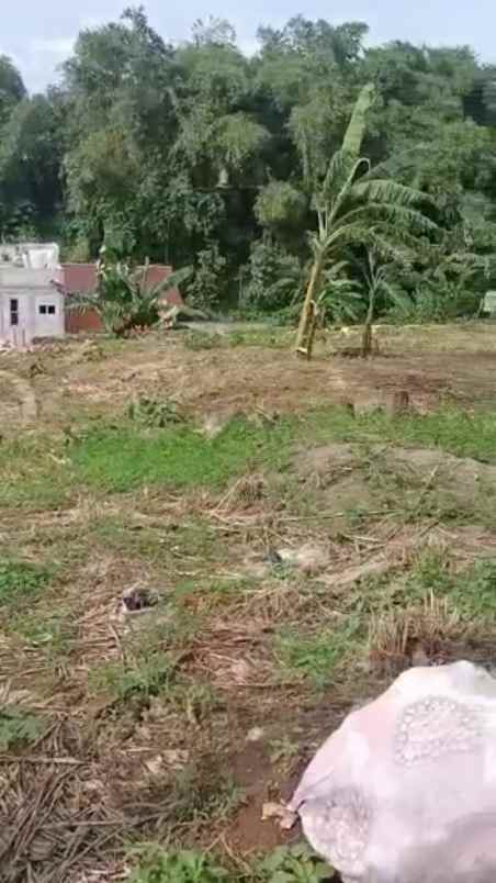 tanah kelapa dua cimanggis depok