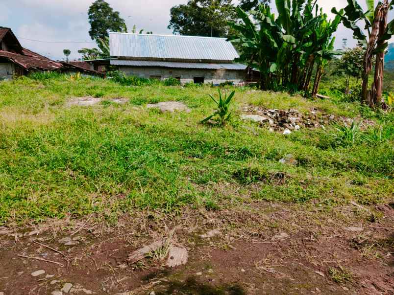 tanah kemuning ngargoyoso