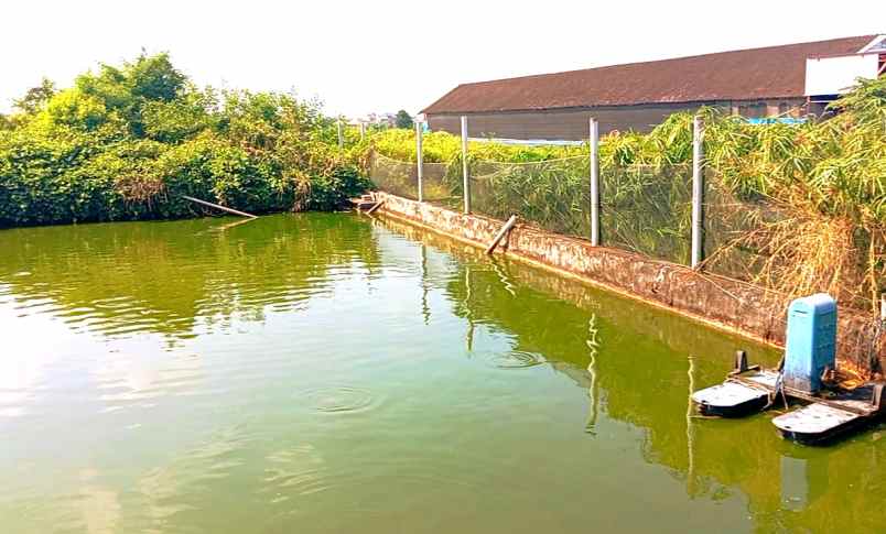 tanah kolam 2200m2 lokasi janti klaten 660jt nego