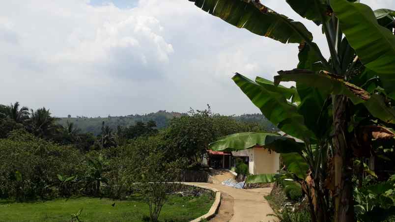 tanah kp bojong jl haji ahmad