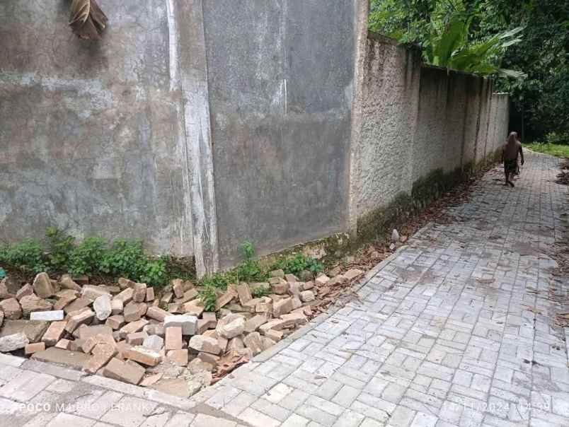 tanah murah akses mobil cilaku curug serang