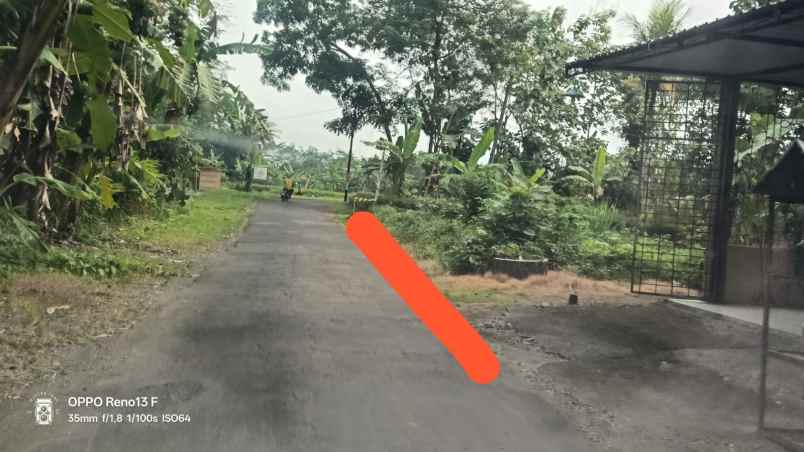 tanah murah di minggir sleman dekat resto mang engking