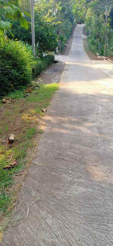 tanah ngadirejo mojogedang