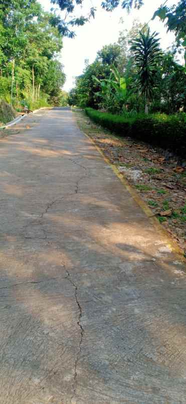 tanah ngadirejo mojogedang