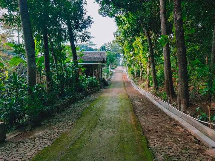 tanah ngadirejo mojogedang