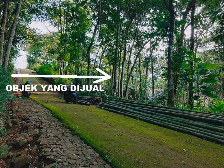 tanah ngadirejo mojogedang