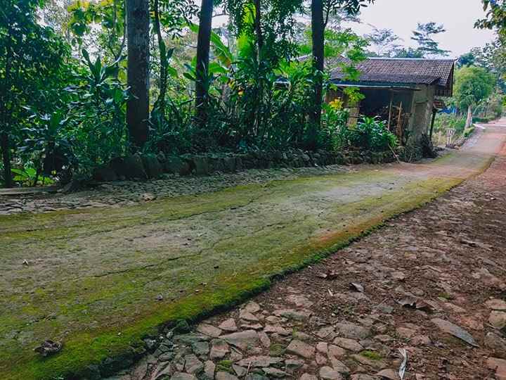 tanah ngadirejo mojogedang