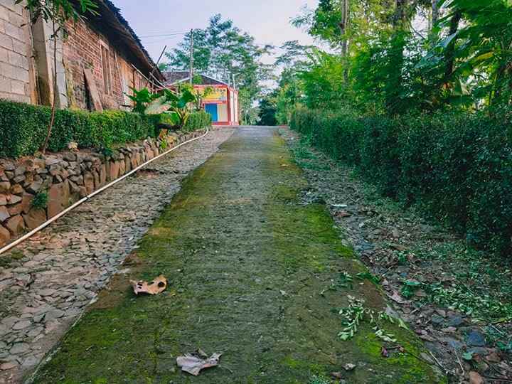 tanah ngadirejo mojogedang