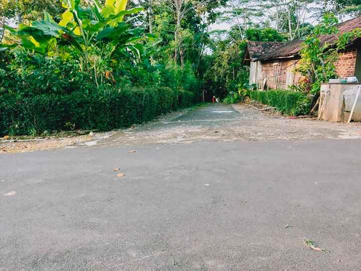 tanah ngadirejo mojogedang