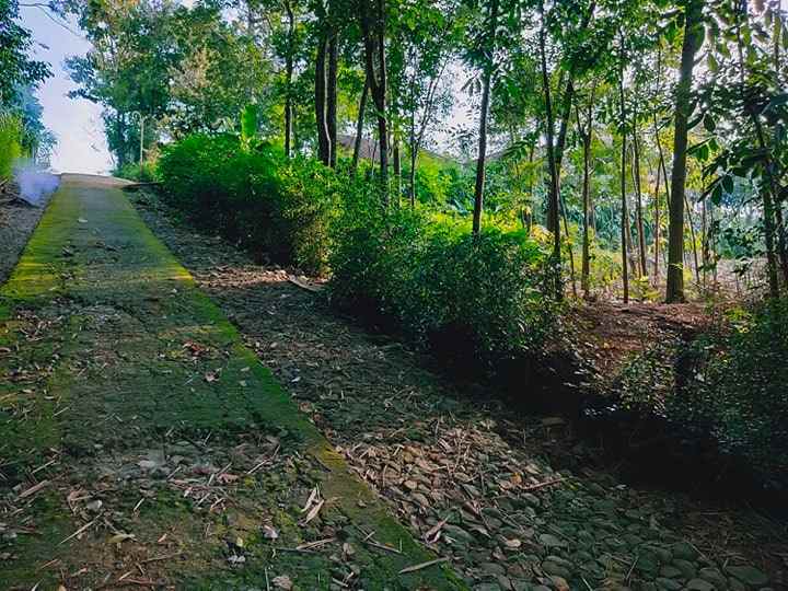tanah ngadirejo mojogedang