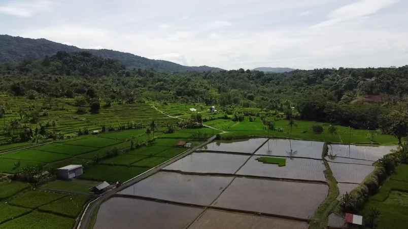tanah pesawahan view pegunungan subang jawa barat
