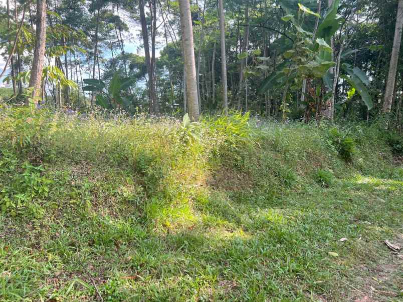tanah super datar 200juta ngargoyoso karanganyar