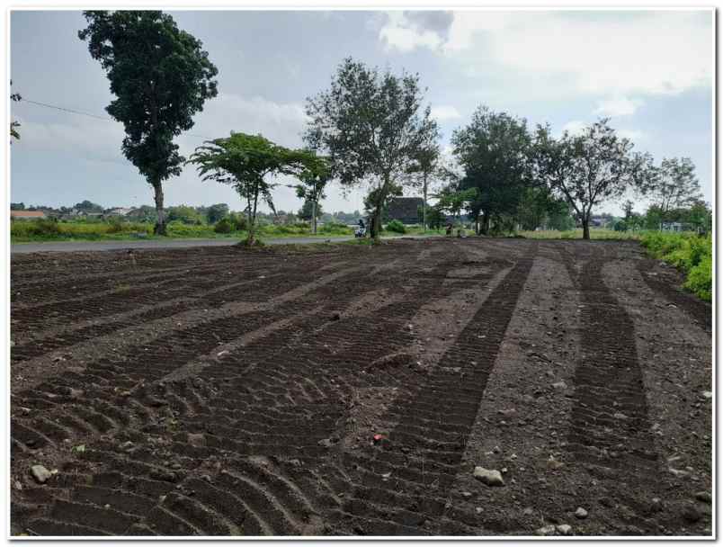 tanah tepi aspal bugisan prambanan klaten