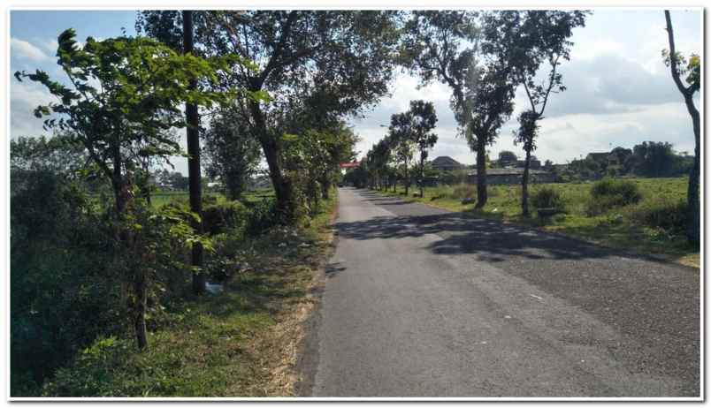 tanah tepi aspal bugisan prambanan klaten