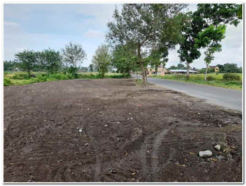 tanah tepi aspal bugisan prambanan klaten