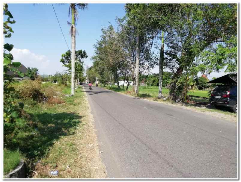 tanah tepi aspal bugisan prambanan klaten