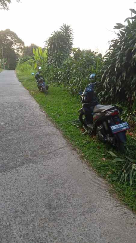 cijeruk bogor tajur halang tanah best view