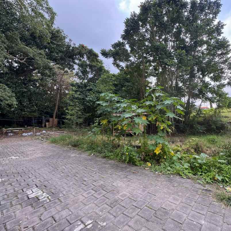 dijual 1 5 are jl tumbak bayuh pererenan mengwi badung