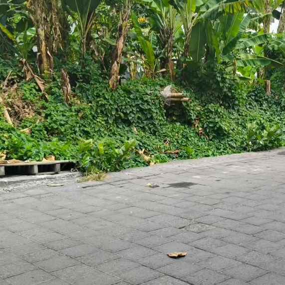 dijual 2 are jl gunung talang padangsambian denpasar